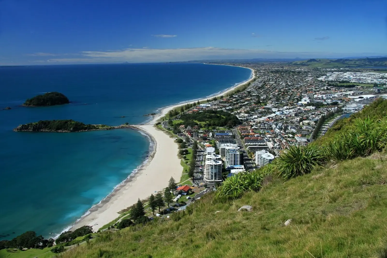 Tauranga scenery