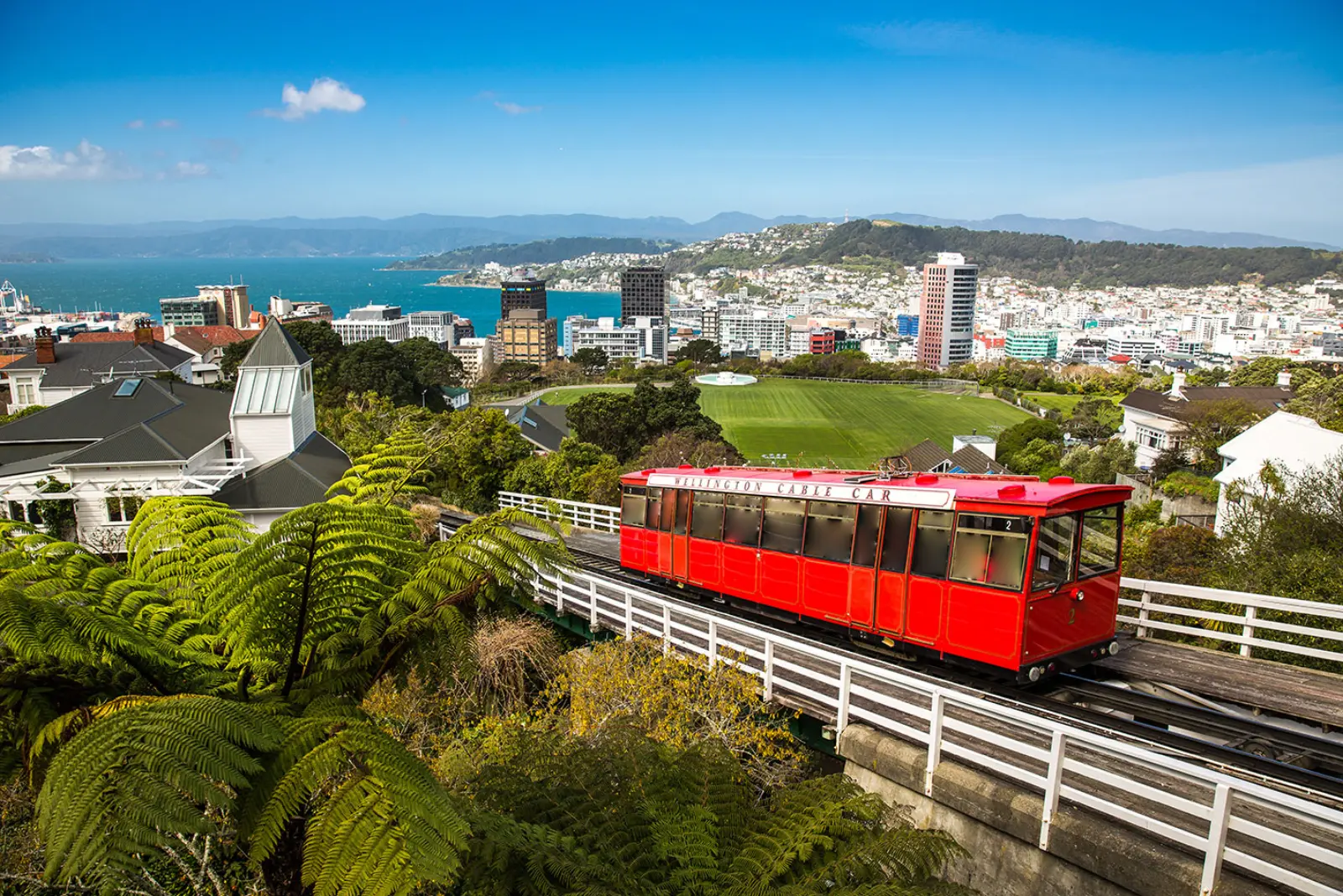 Wellington scenery