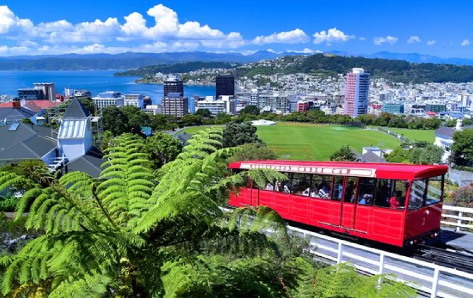 Bus hire in Wellington