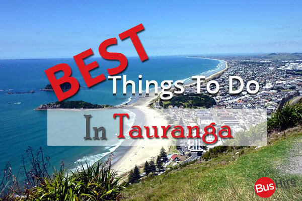 Best Things To Do In Tauranga