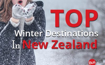 Top Winter Destinations in New Zealand