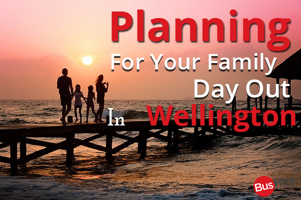 Planning For Your Family Day Out In Wellington
