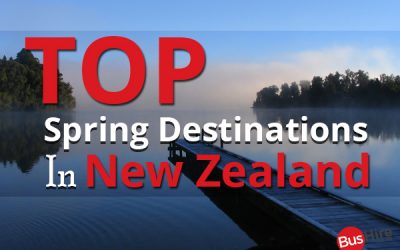 Top Spring Destinations in New Zealand