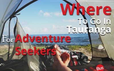 Where To Go In Tauranga For Adventure Seekers