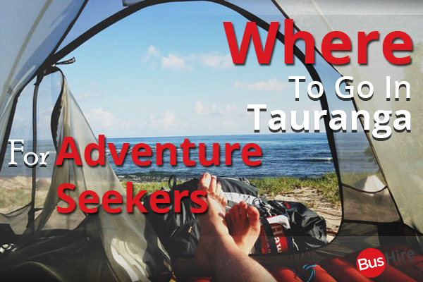 Where To Go In Tauranga For Adventure Seekers