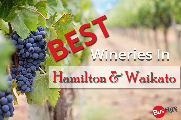 Best Wineries in Hamilton & Waikato