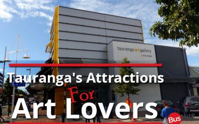 Tauranga’s Attractions For Art Lovers