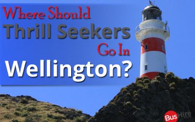 Where Should Thrill Seekers Go In Wellington?