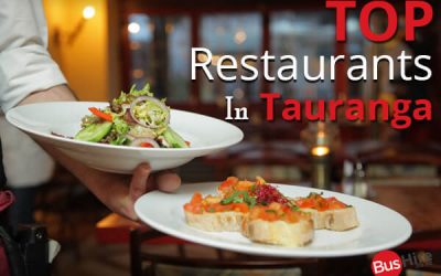 Top Restaurants In Tauranga