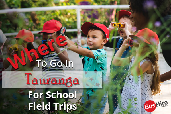 Where To Go In Tauranga For School Field Trips