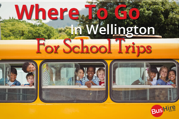 Where To Go In Wellington For School Trips